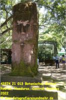 43974 21 013 Botanischer Garten, Roatan, Honduras, Central-Amerika 2022.JPG
